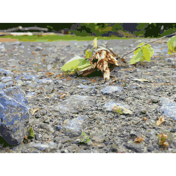 SVG Lichtscheid Forest Again 2015071513