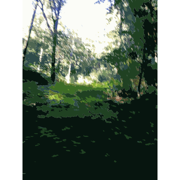 SVG Lichtscheid Forest Again 2015071516