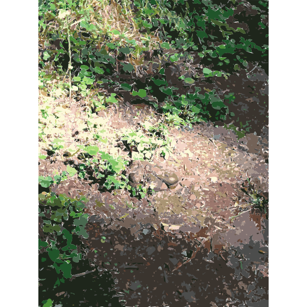 SVG Lichtscheid Forest Again 2015071521