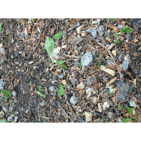 SVG Lichtscheid Forest Again 2015071527