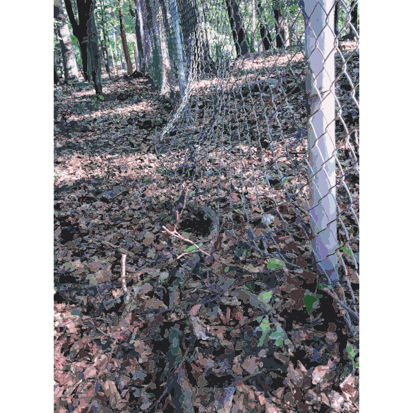 SVG Lichtscheid Forest Again 2015071533