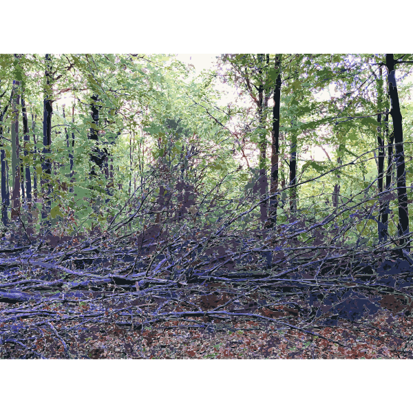 SVG Lichtscheid Forest Again 2015071535