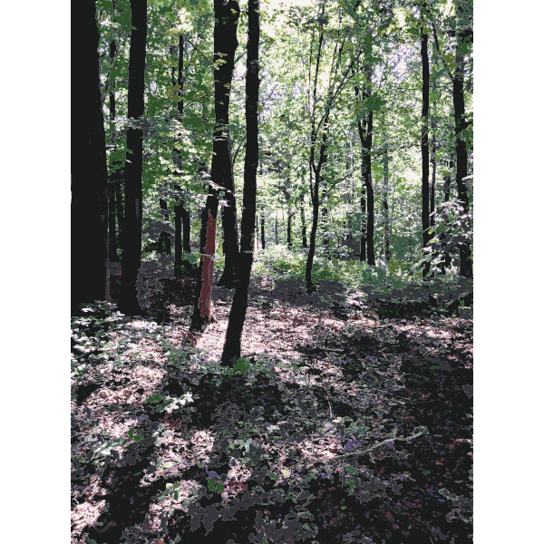 SVG Lichtscheid Forest Again 2015071542