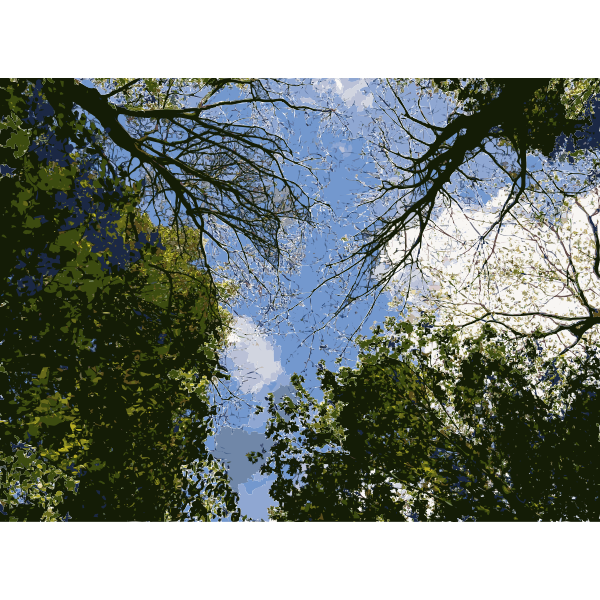 SVG Lichtscheid Forest Again 2015071543
