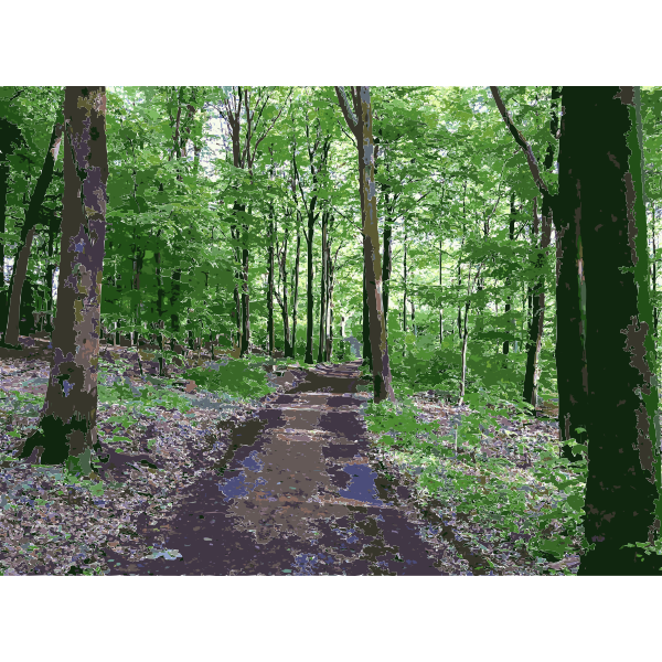SVG Lichtscheid Forest Again 2015071547