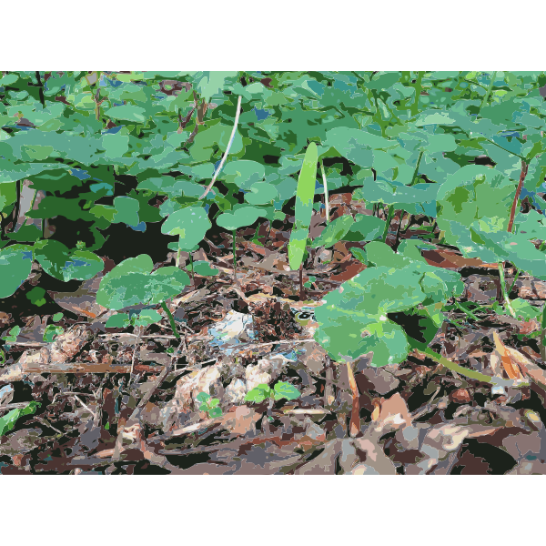 SVG Lichtscheid Forest Again 2015071548