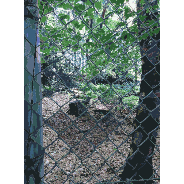 SVG Lichtscheid Forest Again 2015071551
