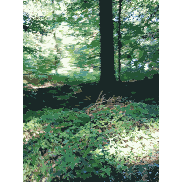 SVG Lichtscheid Forest Again 2015071552