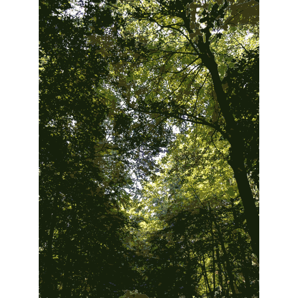 SVG Lichtscheid Forest Again 2015071553