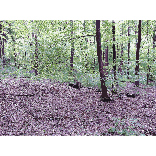 SVG Lichtscheid Forest Again 2015071554