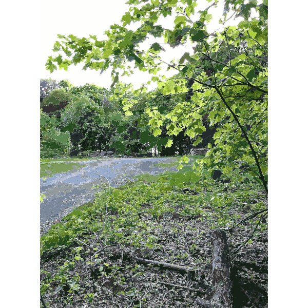 SVG Lichtscheid Forest Again 3 2015071513
