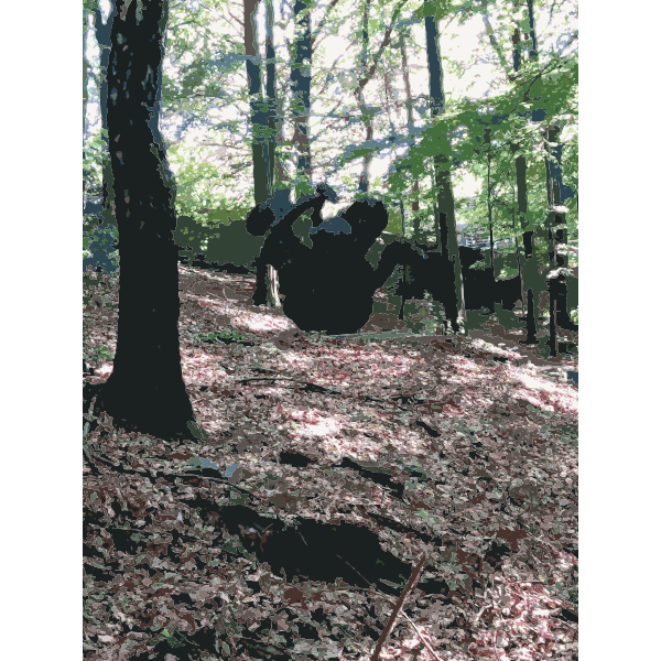SVG Lichtscheid Forest Again 3 2015071521