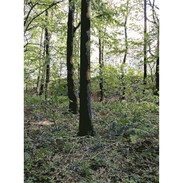SVG Lichtscheid Forest Again 3 2015071534