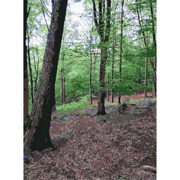 SVG Lichtscheid Forest Again 3 2015071535