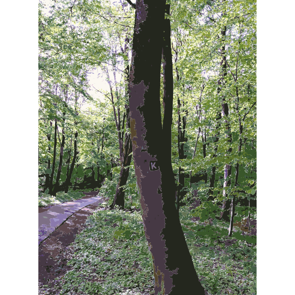 SVG Lichtscheid Forest Again 3 2015071543