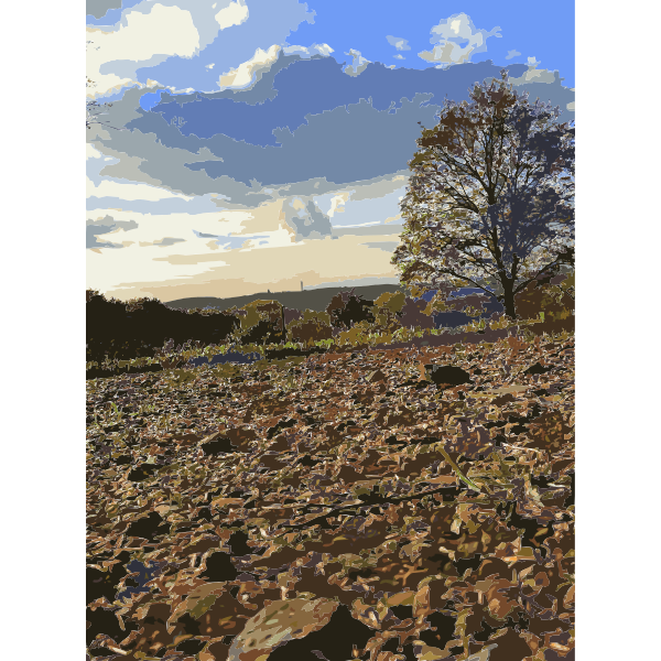 SVG Lichtscheid Forest Again 3 2015071545