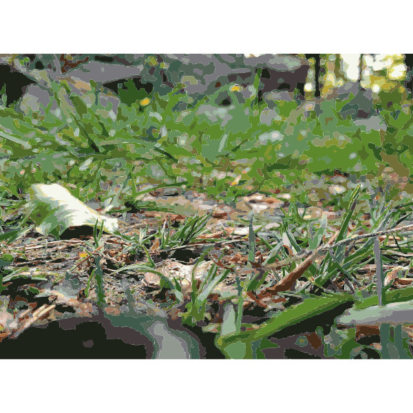 SVG Lichtscheid Forest Again 3 2015071546