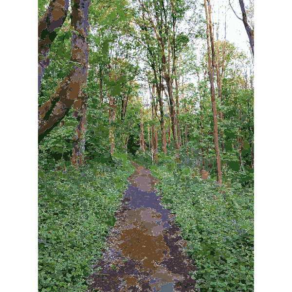 SVG Lichtscheid Forest Again 3 2015071548
