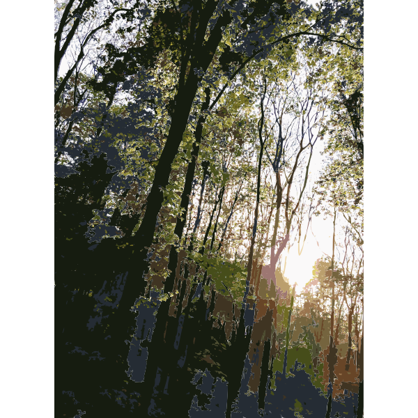 SVG Lichtscheid Forest Again 3 2015071549