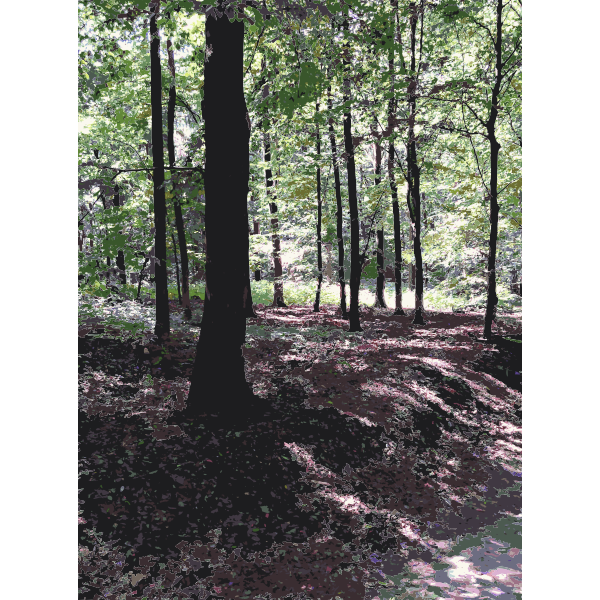 SVG Lichtscheid Forest Again 3 2015071553