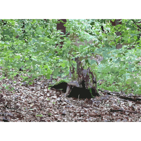 SVG Lichtscheid Forest Again 3 2015071554
