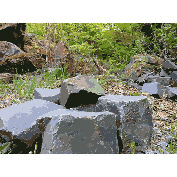 SVG Lichtscheid Forest Again 3 2015071558