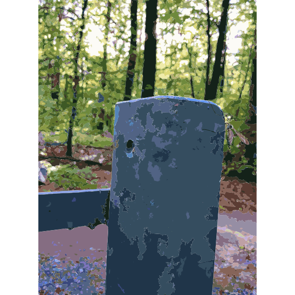 SVG Lichtscheid Forest Again 4 2015071512