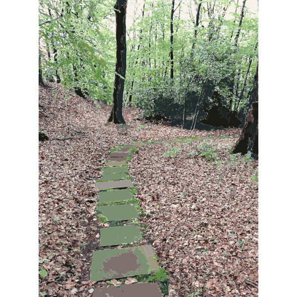 SVG Lichtscheid Forest Again 4 2015071534