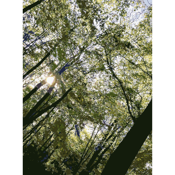 SVG Lichtscheid Forest Again 4 2015071543