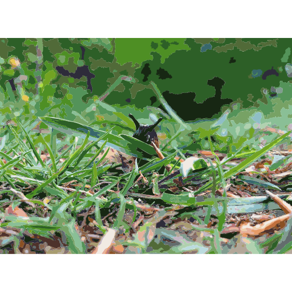 SVG Lichtscheid Forest Again 4 2015071546