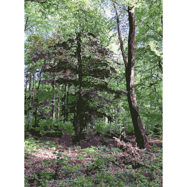 SVG Lichtscheid Forest Again 4 2015071547
