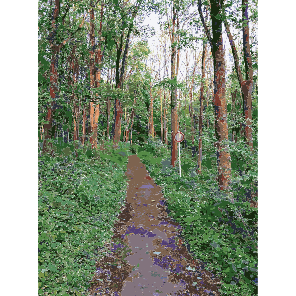 SVG Lichtscheid Forest Again 4 2015071548