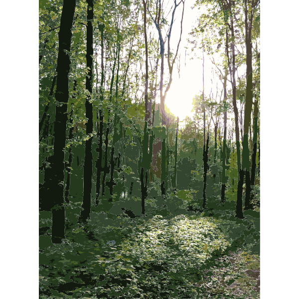 SVG Lichtscheid Forest Again 4 2015071549