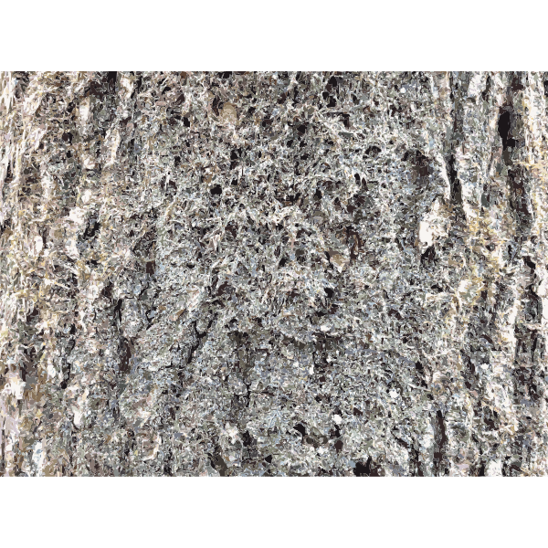 SVG Lichtscheid Forest Again 4 2015071554