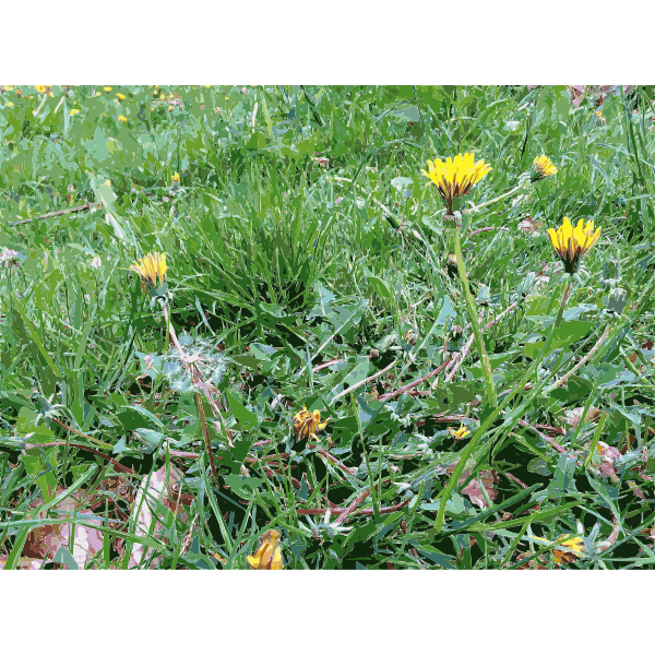 SVG Lichtscheid Forest Again 4 2015071558
