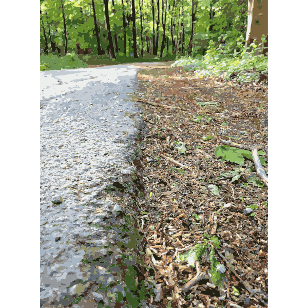 SVG Lichtscheid Forest Again 5 2015071527