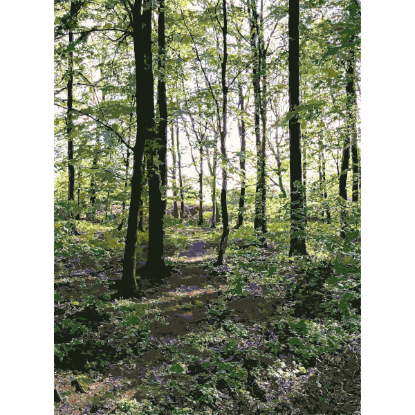 SVG Lichtscheid Forest Again 5 2015071534