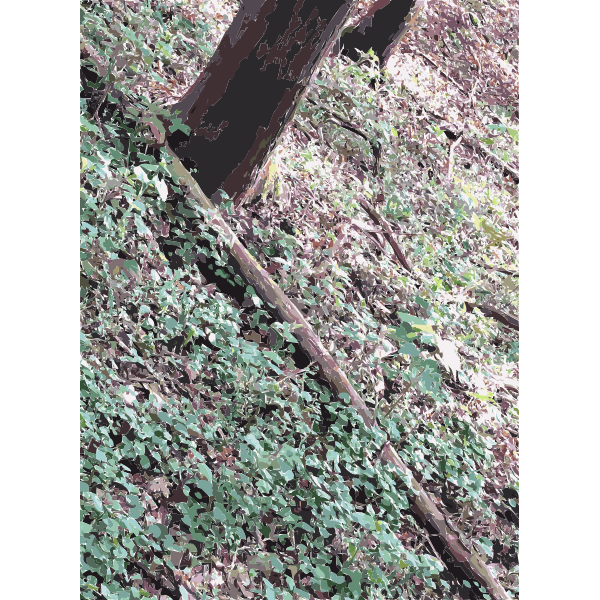 SVG Lichtscheid Forest Again 5 2015071543