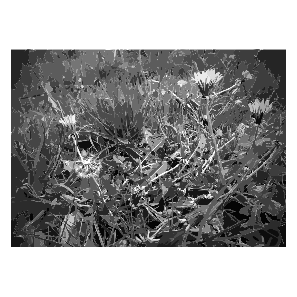 SVG Lichtscheid Forest Again 5 2015071546