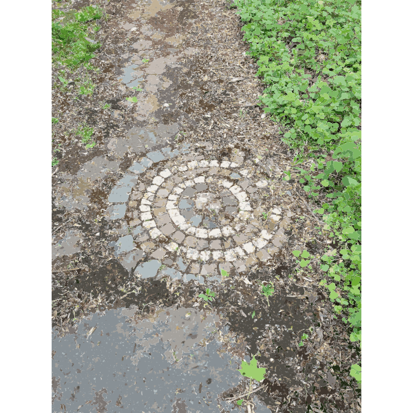 SVG Lichtscheid Forest Again 5 2015071548