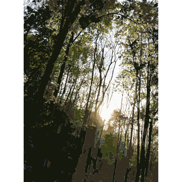 SVG Lichtscheid Forest Again 5 2015071549