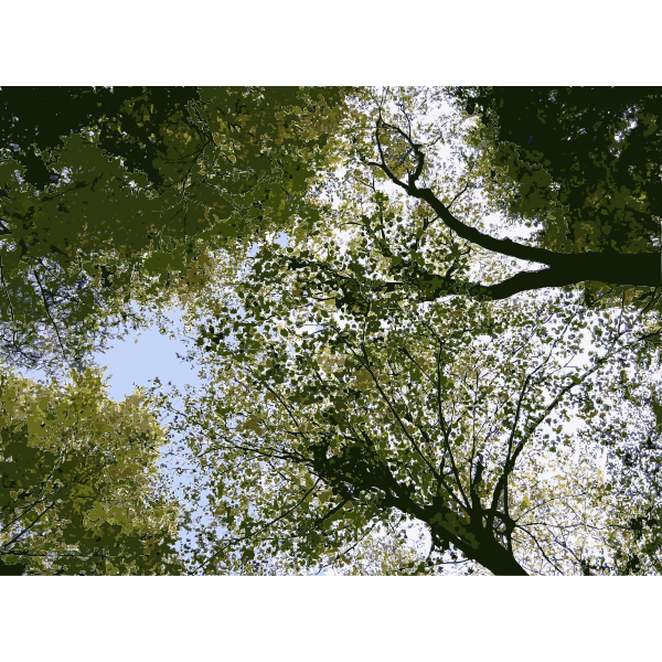 SVG Lichtscheid Forest Again 5 2015071554