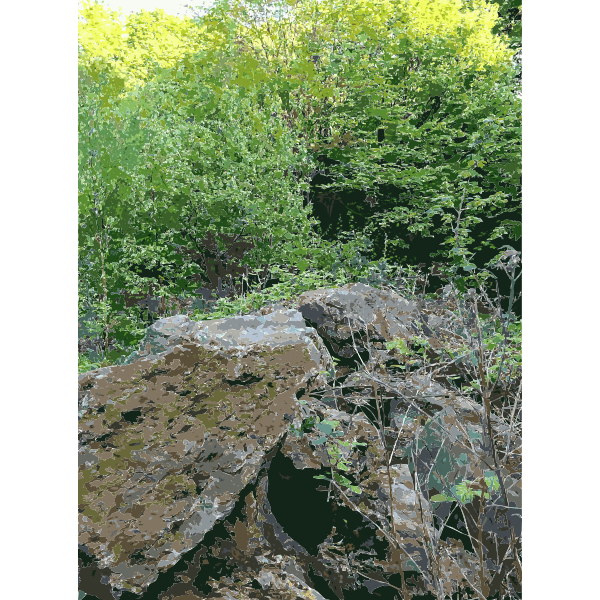 SVG Lichtscheid Forest Again 5 2015071558