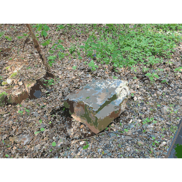 SVG Lichtscheid Forest Again 6 2015071512
