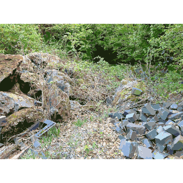 SVG Lichtscheid Forest Again 6 2015071513