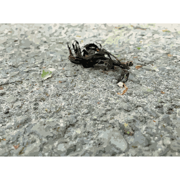 SVG Lichtscheid Forest Again 6 2015071527