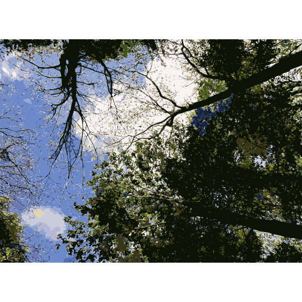 SVG Lichtscheid Forest Again 6 2015071543