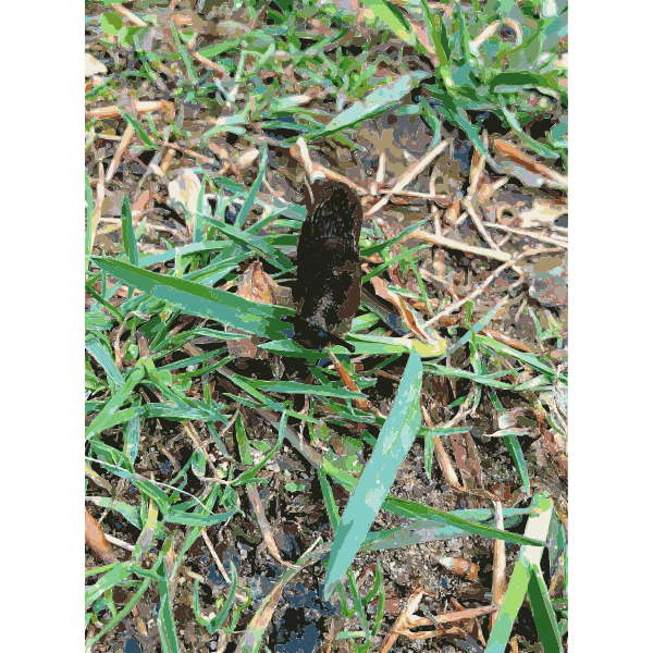 SVG Lichtscheid Forest Again 6 2015071546