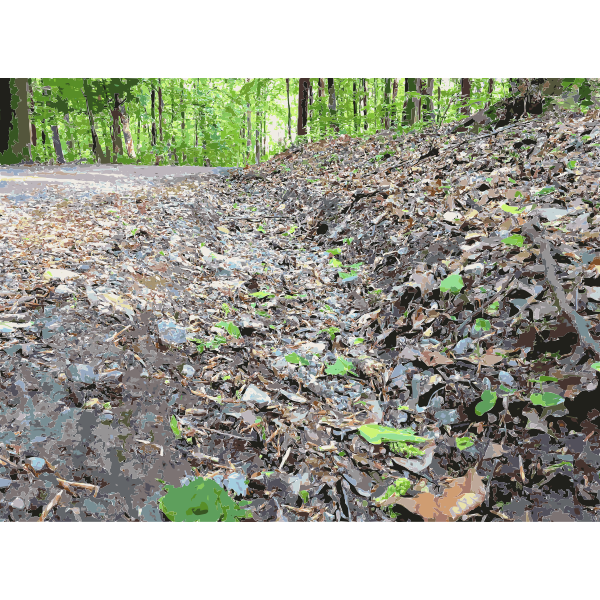 SVG Lichtscheid Forest Again 6 2015071554