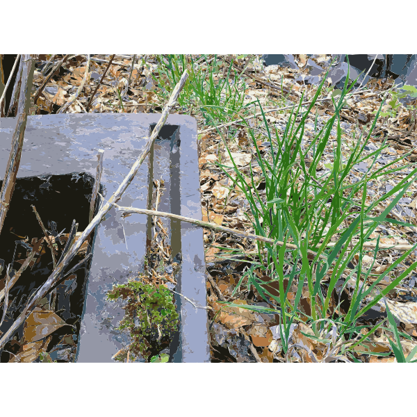 SVG Lichtscheid Forest Again 6 2015071558